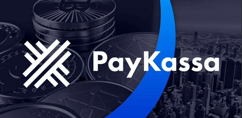 Paykassa.pro – Обзор и отзыв сервиса для приёма криптовалюты
